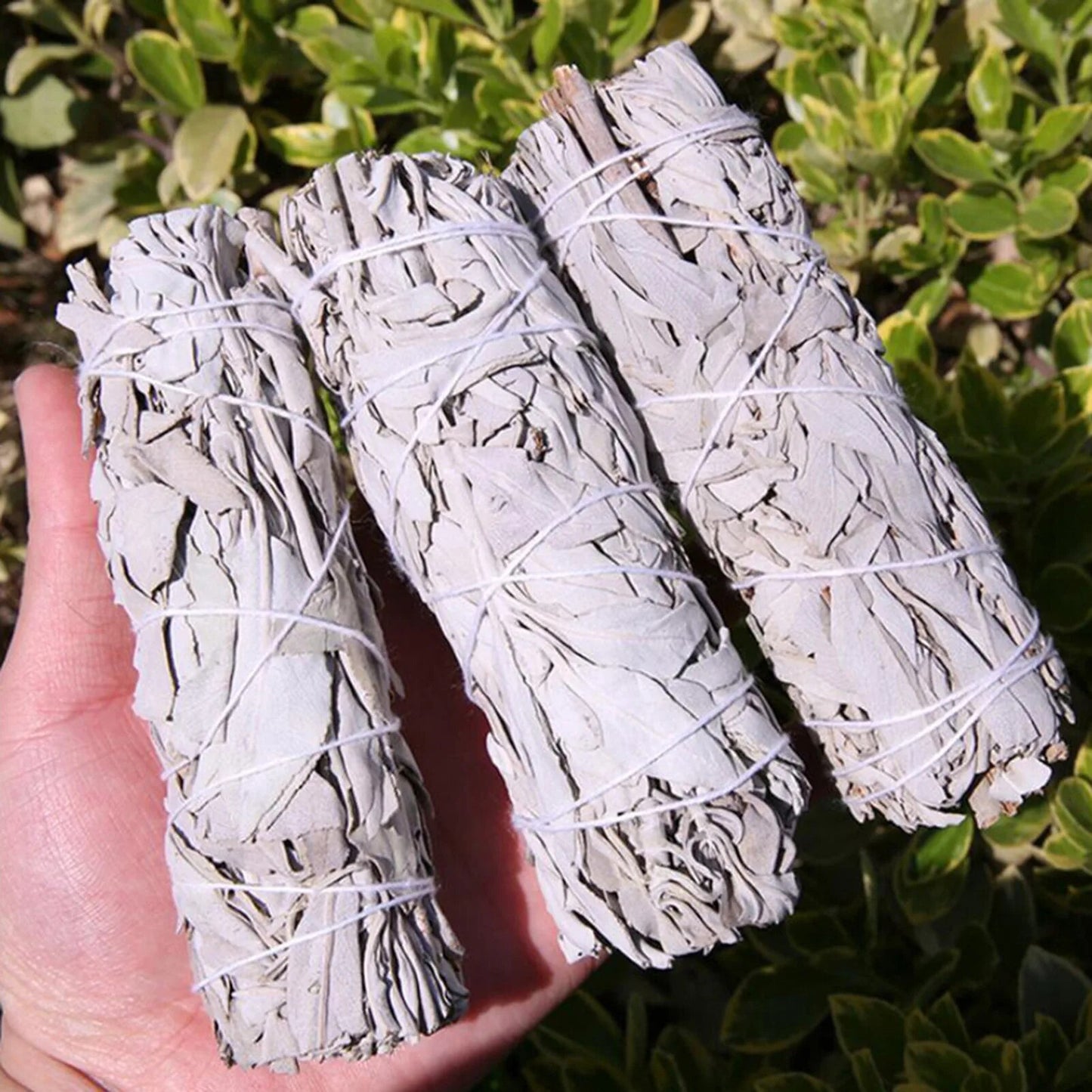 10cm White Sage Smudge Stick Wand